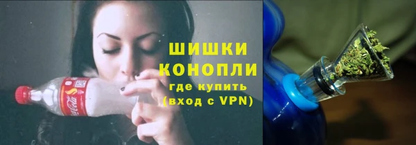 Альфа ПВП Верея
