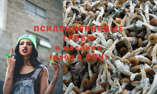 Альфа ПВП Верея