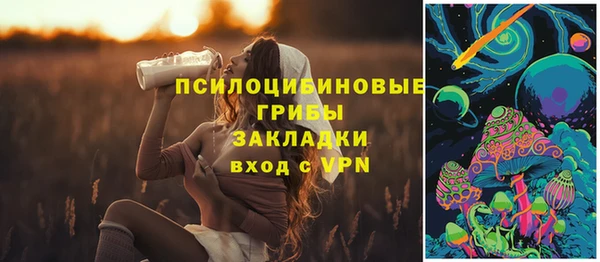 бошки Верхнеуральск