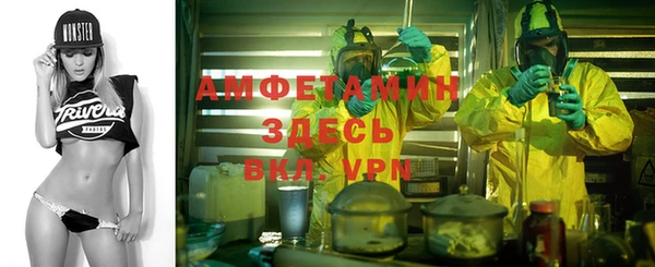 Альфа ПВП Верея